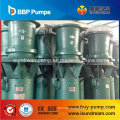 Submersible Axial Flow Pump (propeller)